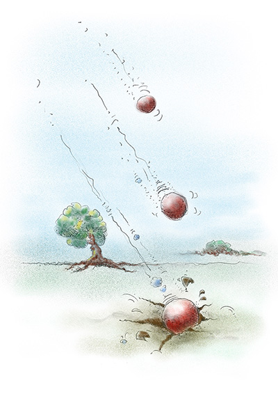 Passage de la vie: l'arrivé