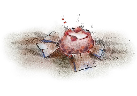 Passage de la vie: la naissance